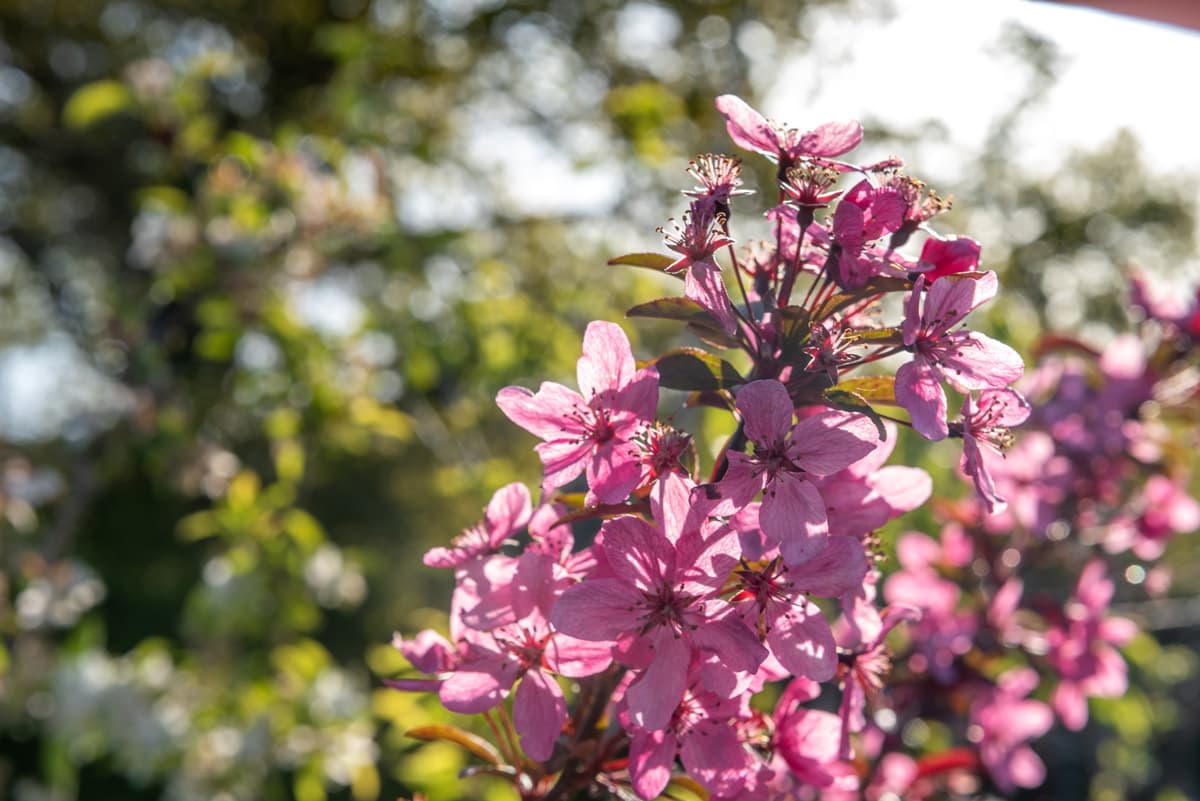 Jardín Galicia - LLEGA LA PRIMAVERA..‼️ Gran variedad de columnas, macetas  figuras Jardín Galicia es tu lugar especializado en decoración para casa  y jardín, tanto interior como exterior🏡🌼🌸🌷 Visita nuestras  instalaciones CUANDO